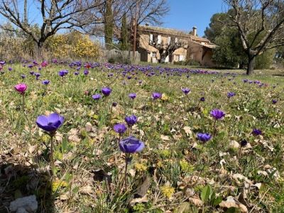 Vente Maison Fox-Amphoux 8&nbsp;Pièces 170&nbsp;m²