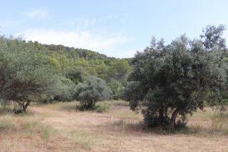 maison provençale 10 Pièces en vente sur SALERNES (83690)