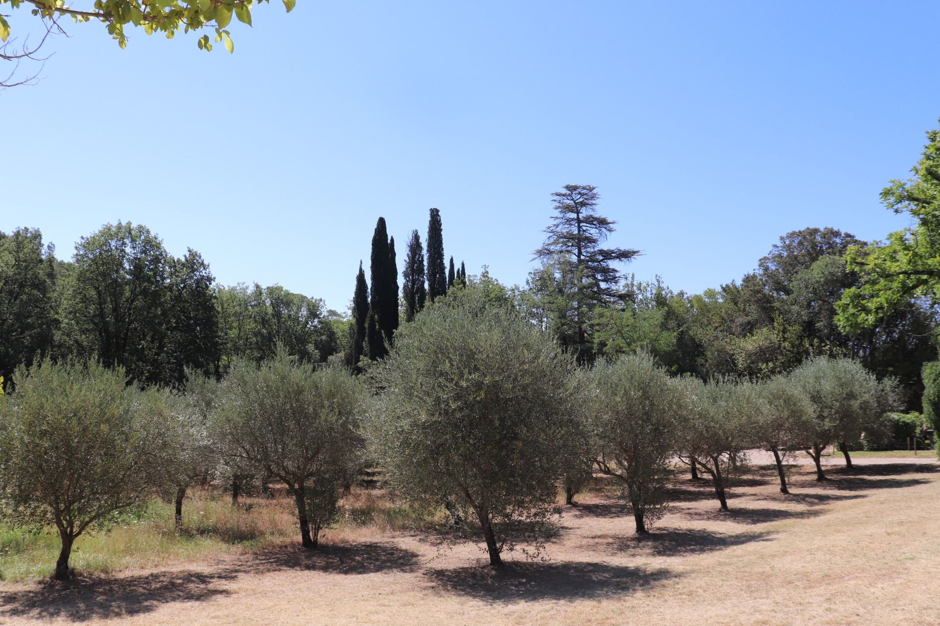 bastide 20 Rooms for sale on LORGUES (83510)