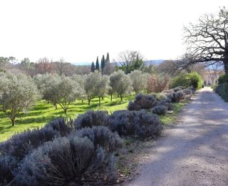 bastide 20 Rooms for sale on LORGUES (83510)