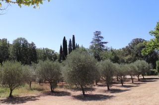 bastide 20 Rooms for sale on LORGUES (83510)