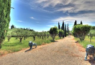 maison provençale 11 Pièces en vente sur AUPS (83630)