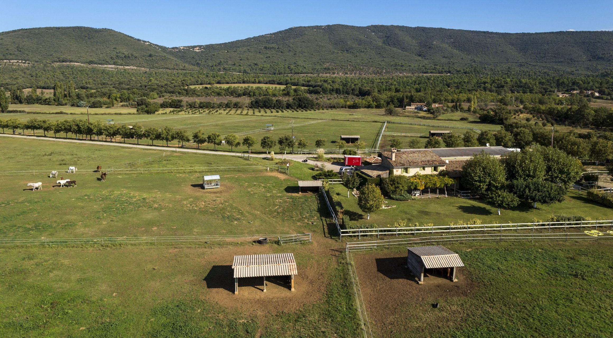 equestrian property 4 Rooms for sale on AMPUS (83111)