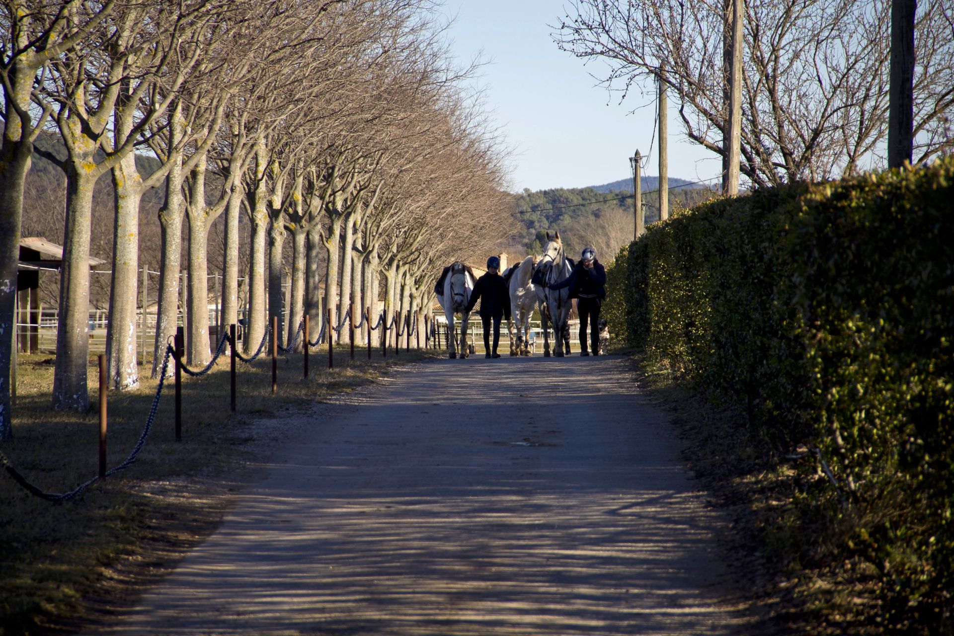 equestrian property 4 Rooms for sale on AMPUS (83111)