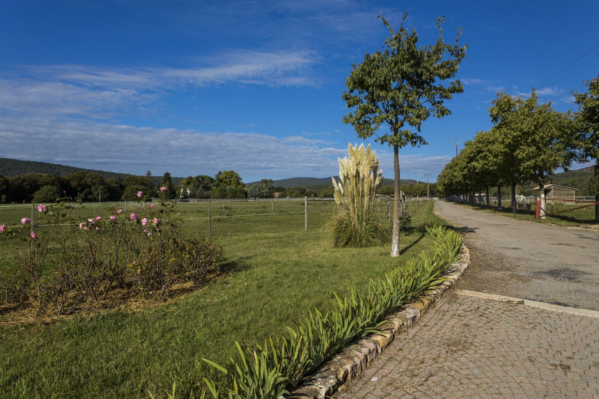 equestrian property 4 Rooms for sale on AMPUS (83111)
