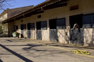 equestrian property 4 Rooms for sale on AMPUS (83111)