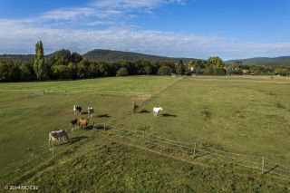 equestrian property 4 Rooms for sale on AMPUS (83111)