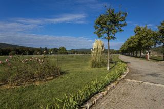 equestrian property 4 Rooms for sale on AMPUS (83111)