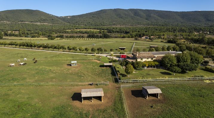 Sale Equestrian property Ampus 4&nbsp;Rooms 200&nbsp;m²