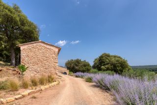 château 30 Pièces en vente sur FOX AMPHOUX (83670)