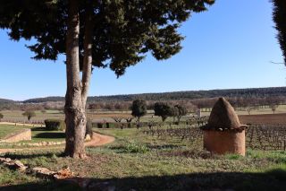 castle 30 Rooms for sale on FOX AMPHOUX (83670)