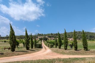 château 30 Pièces en vente sur FOX AMPHOUX (83670)