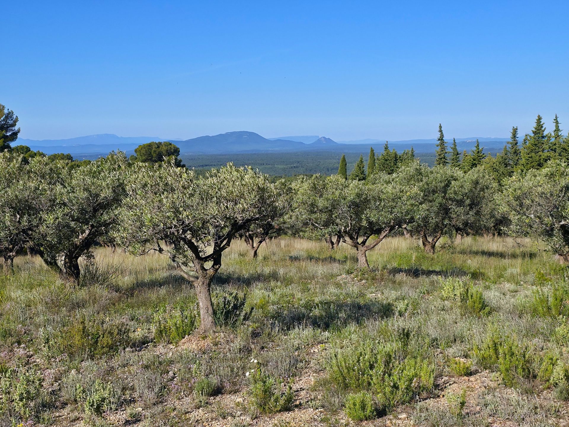 bastide 14 Rooms for sale on TOURTOUR (83690)