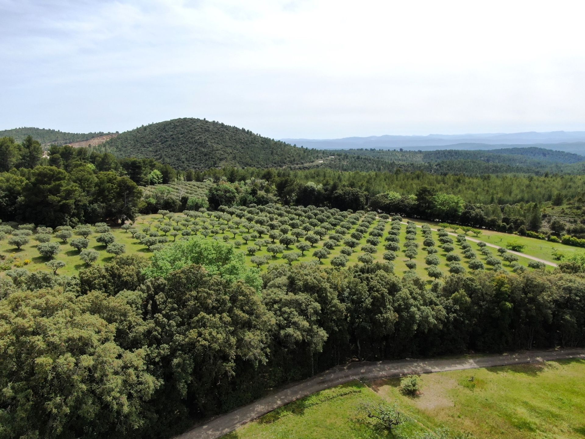 bastide 14 Rooms for sale on TOURTOUR (83690)