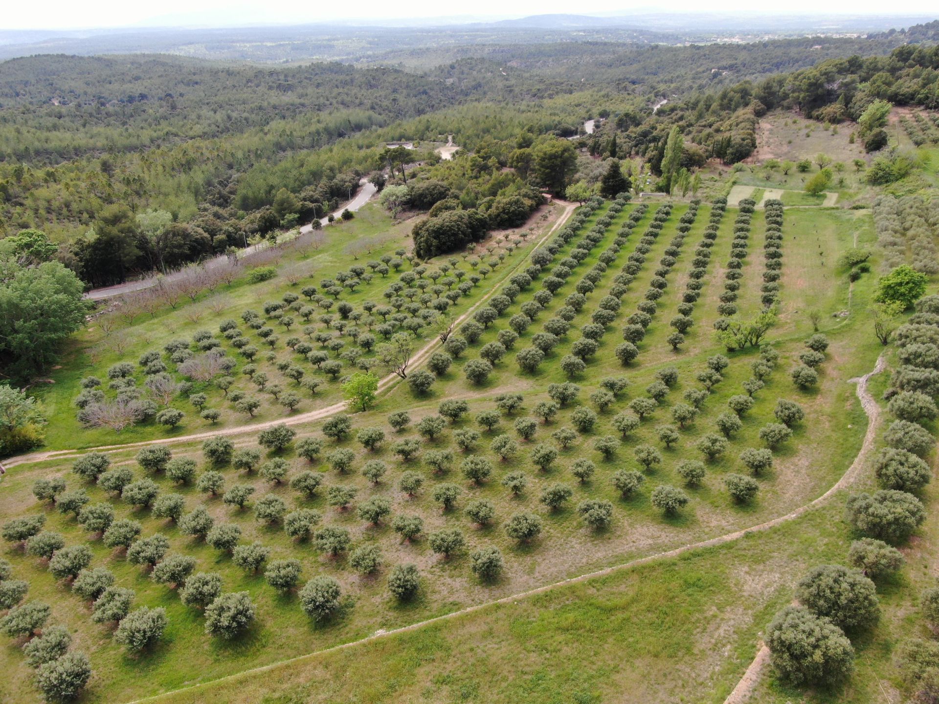 bastide 14 Rooms for sale on TOURTOUR (83690)