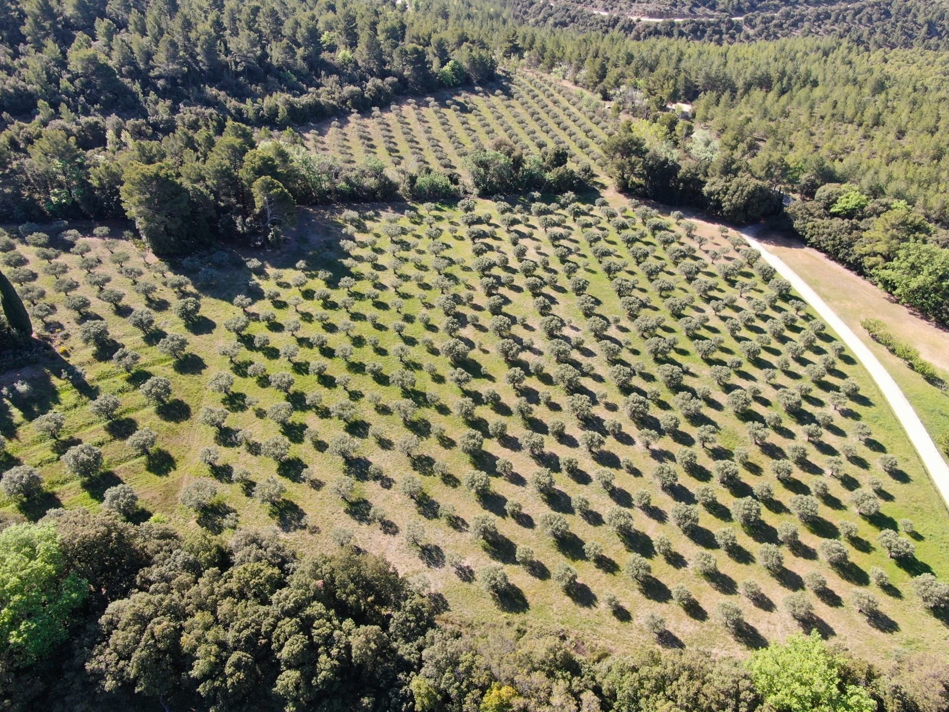 bastide 14 Rooms for sale on TOURTOUR (83690)