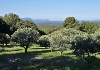 bastide 14 Pièces en vente sur TOURTOUR (83690)