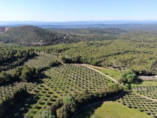 bastide 14 Pièces en vente sur TOURTOUR (83690)