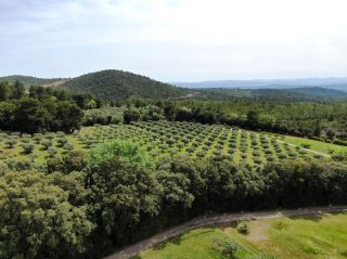 bastide 14 Pièces en vente sur TOURTOUR (83690)