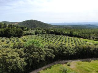 bastide 14 Rooms for sale on TOURTOUR (83690)