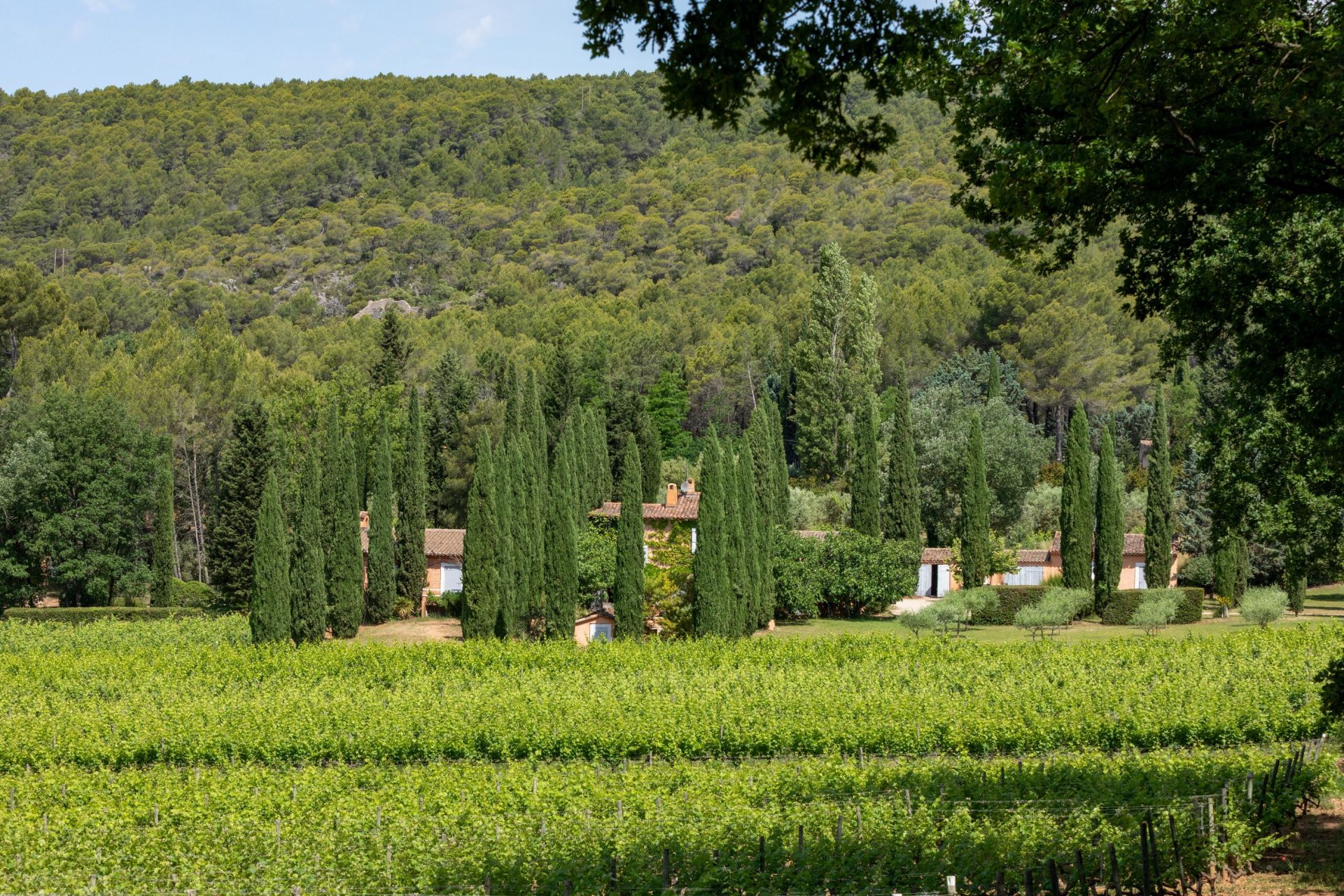 propriété viticole 8 Pièces en vente sur VILLECROZE (83690)
