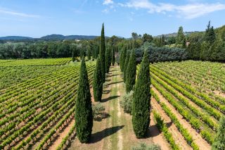 wine estate 8 Rooms for sale on VILLECROZE (83690)