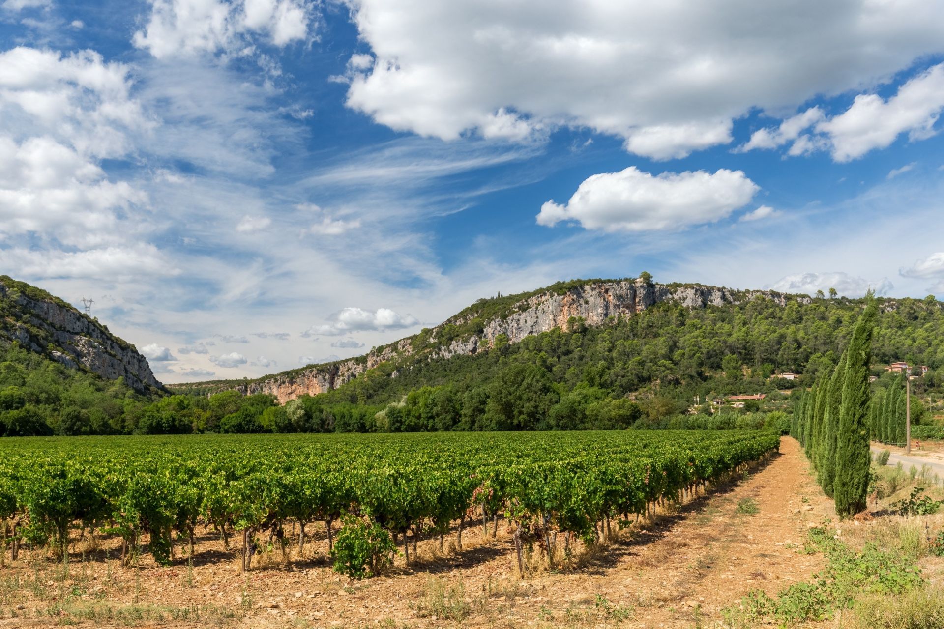 château 10 Pièces en vente sur CABASSE (83340)