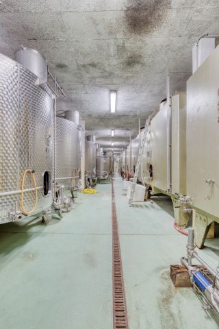 château 10 Pièces en vente sur CABASSE (83340)