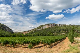wine estate 10 Rooms for sale on CABASSE (83340)