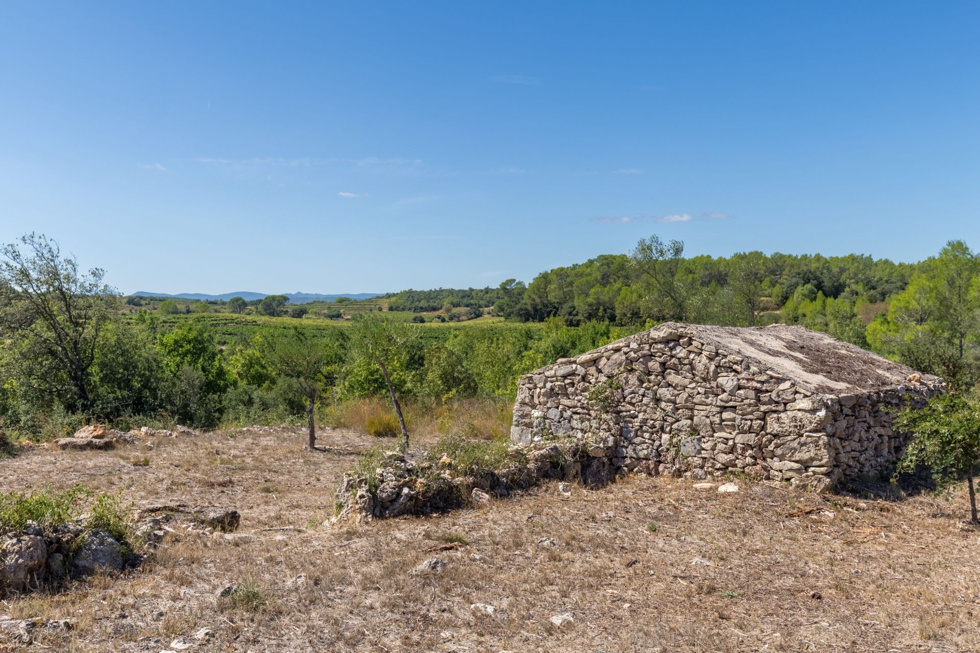 propriété viticole 7 Pièces en vente sur ENTRECASTEAUX (83570)