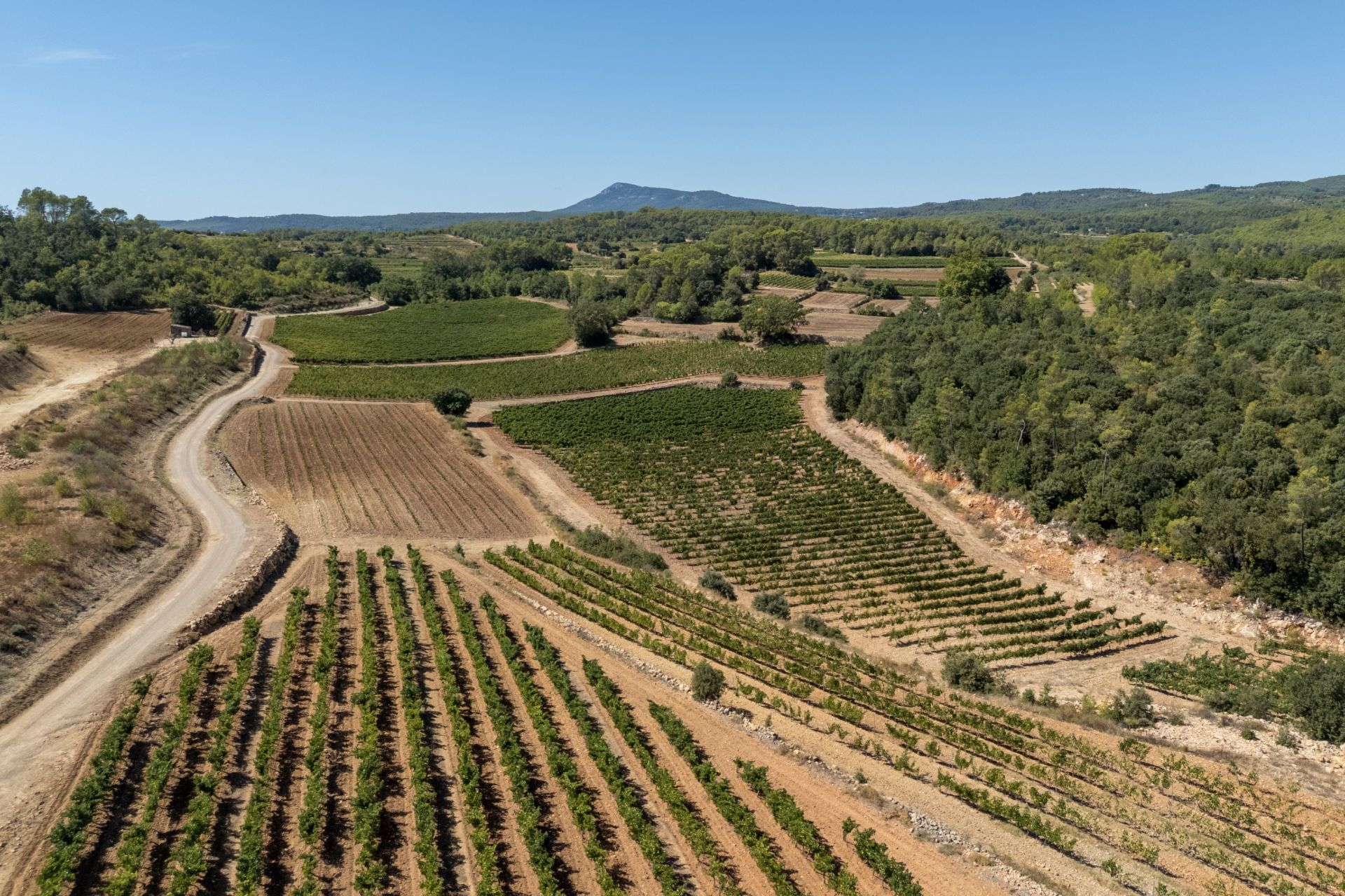 propriété viticole 7 Pièces en vente sur ENTRECASTEAUX (83570)