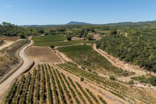 propriété viticole 7 Pièces en vente sur ENTRECASTEAUX (83570)