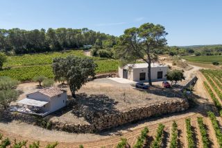 propriété viticole 7 Pièces en vente sur ENTRECASTEAUX (83570)