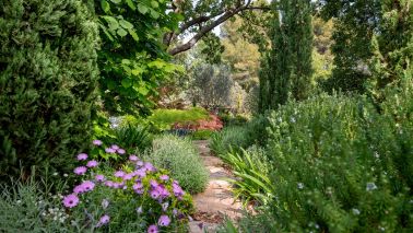 provencal house 7 Rooms for sale on DRAGUIGNAN (83300)