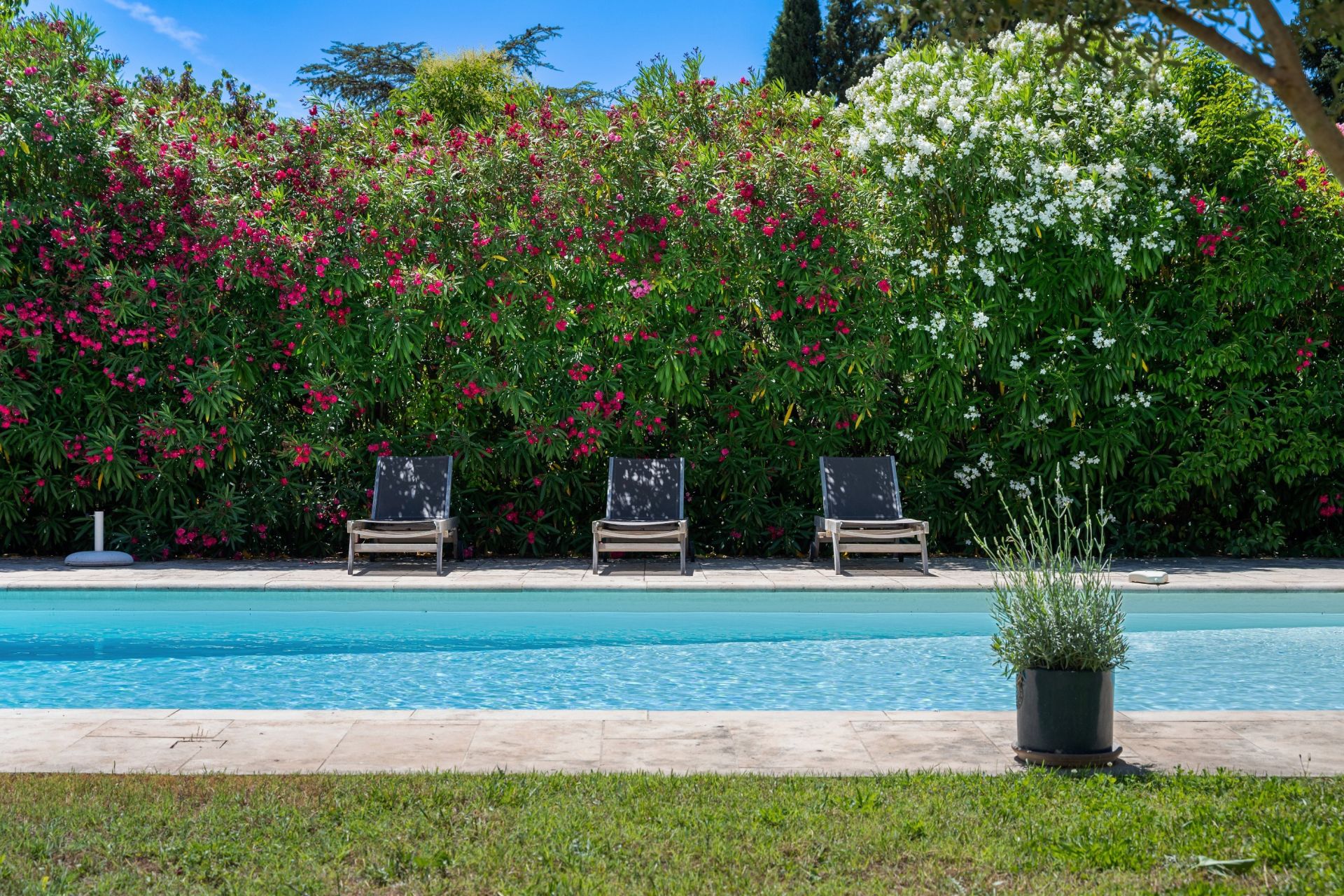 townhouse 7 Rooms for sale on VILLECROZE (83690)