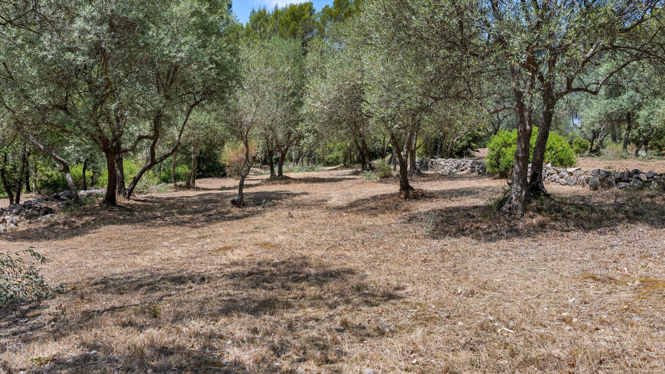 provencal house 6 Rooms for sale on DRAGUIGNAN (83300)