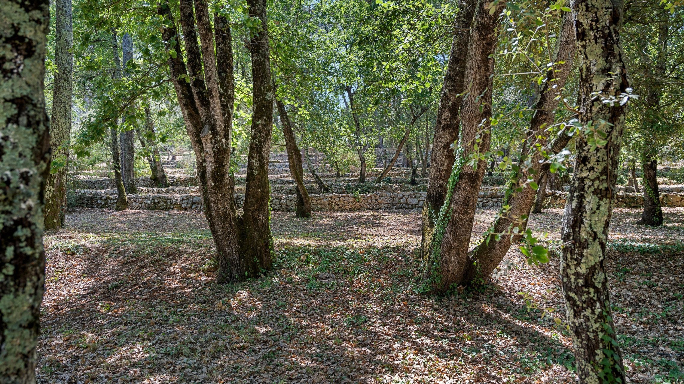 provencal house 6 Rooms for sale on DRAGUIGNAN (83300)