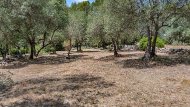 provencal house 6 Rooms for sale on DRAGUIGNAN (83300)