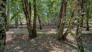 provencal house 6 Rooms for sale on DRAGUIGNAN (83300)