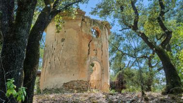 provencal house 6 Rooms for sale on LORGUES (83510)