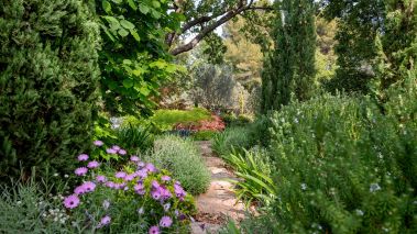 provencal house 7 Rooms for sale on DRAGUIGNAN (83300)