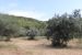 provencal house 10 Rooms for sale on SALERNES (83690)
