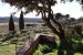 castle 30 Rooms for sale on FOX AMPHOUX (83670)