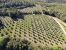 bastide 14 Rooms for sale on TOURTOUR (83690)