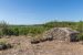 propriété viticole 7 Pièces en vente sur ENTRECASTEAUX (83570)
