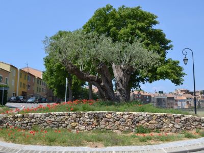 Achat vente bastide bergerie et maison en pierre Provence